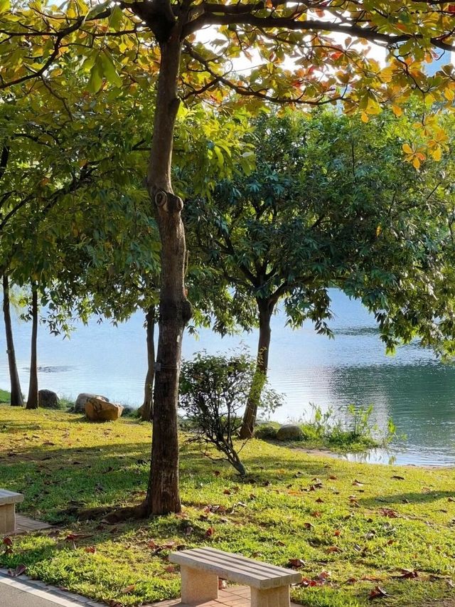 地鐵直達｜深圳小眾野餐露營公園