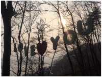 秋日首爾周邊遊｜法國村與小王子童話世界的浪漫邂逅