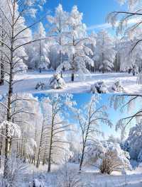 秋天的告別詩阿爾山絕美秋色打卡攻略