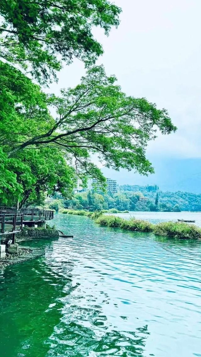 台灣環島遊保姆級攻略 台灣環島遊保姆級攻略