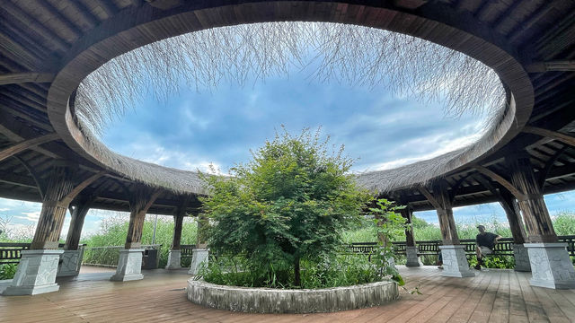 下渚湖國家濕地公園