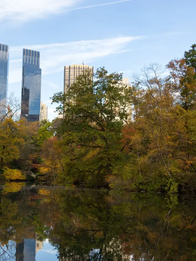 Shenzhen 1-Day Private Car Tour to Must-Visit Magical Spots