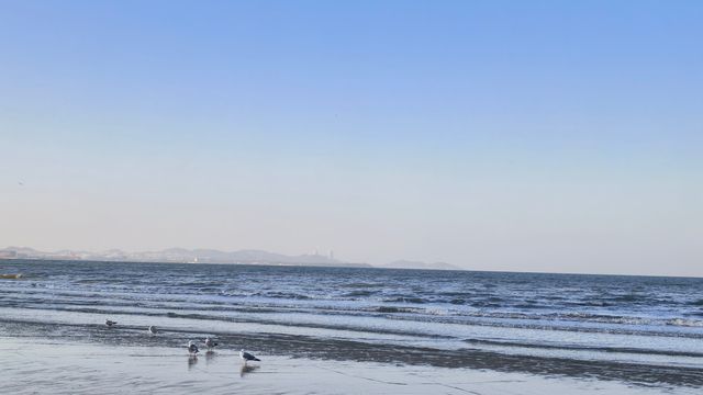 絕美海岸線發呆指南 絕美海岸線發呆指南