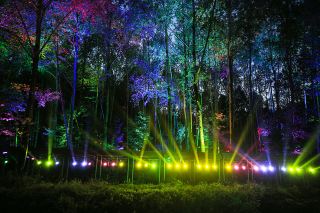 Newcastle Aurora Festival 2025: Shine This Winter