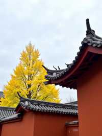 【小隴山國家森林公園】!呢度簡直就係上帝打翻嘅調色盤,靚到我