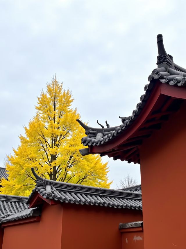 【小隴山國家森林公園】!呢度簡直就係上帝打翻嘅調色盤,靚到我 【小隴山國家森林公園】!呢度簡直就係上帝打翻嘅調色盤,靚到我