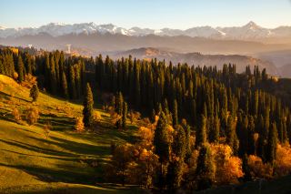 November is legendary in Xinjiang! Snowy mountains and golden autumn-winter secret spots