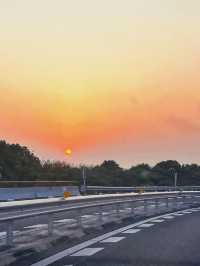 滬浙邊界的遺珠 | 在新倉，與江南的慢時光溫柔相遇