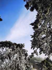 廬山初雪來啦南方人尖叫！朋友圈攝影大賽穩贏攻略！