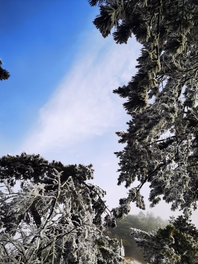 廬山初雪來啦南方人尖叫！朋友圈攝影大賽穩贏攻略！