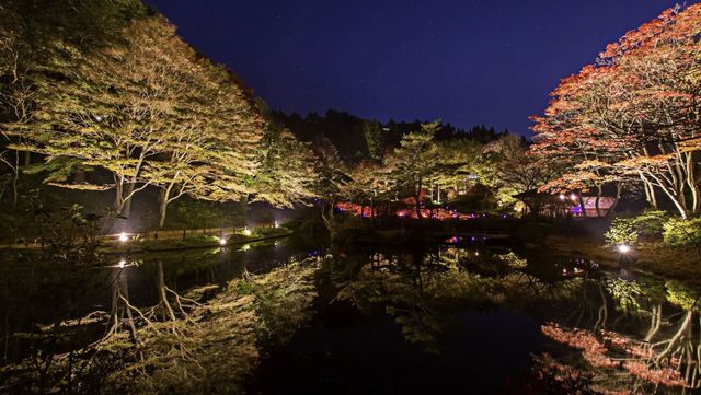 六甲山：神戶之巔的自然、音樂與夜景