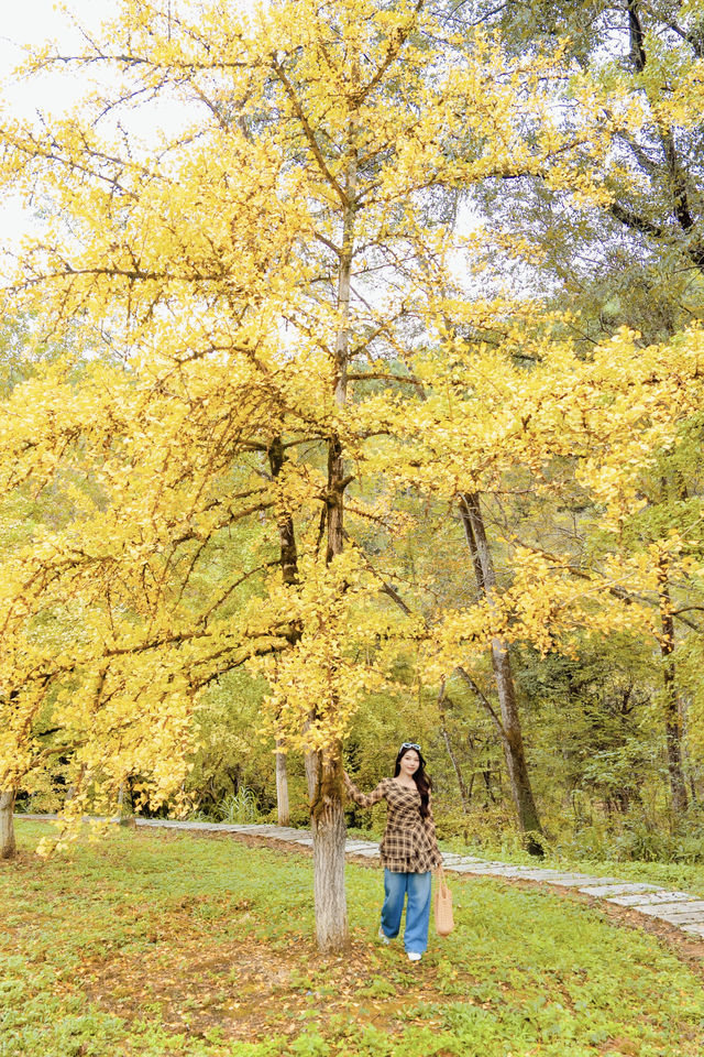 驅車4h來到韶關 就為了尋找秋天的顏色