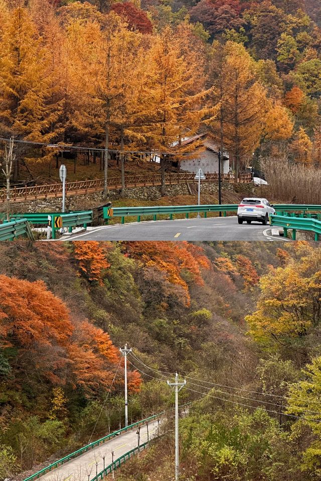 留壩紅葉打卡攻略