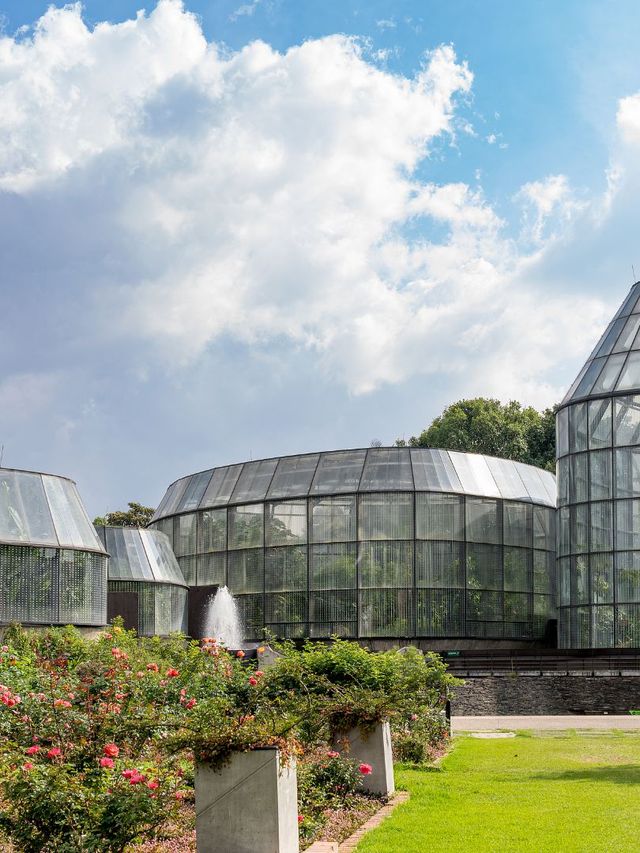 南美洲21日深度遊攻略全在這兒了