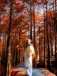 休寧朱村落羽杉｜闖入現實版油畫秋色世界