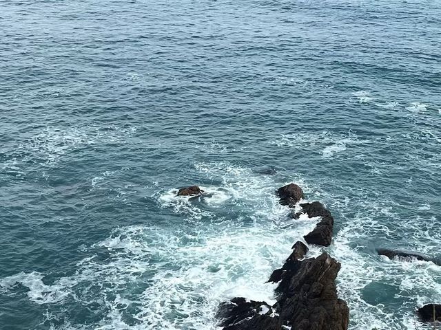 椰子林與海的完美邂逅