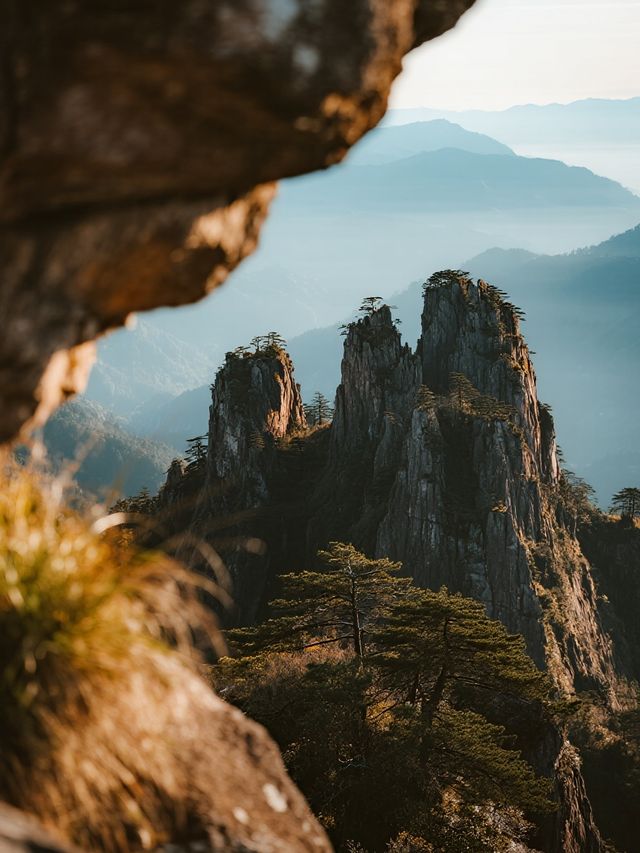 帶娃遊莽山！不用爬山的雲海親子之旅