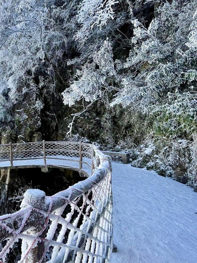 廣東雪景平替1.5h直達莽山絕美霧淞秘境