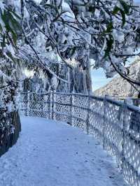 廣東雪景平替1.5h直達莽山絕美霧淞秘境