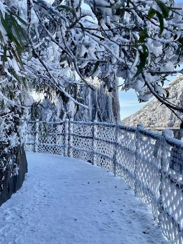 廣東雪景平替1.5h直達莽山絕美霧淞秘境