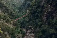 旗山森林公園徒步偶遇猴哥!20km古道+網紅