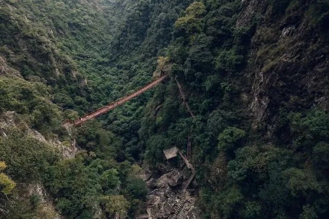 旗山森林公園徒步偶遇猴哥!20km古道+網紅 旗山森林公園徒步偶遇猴哥!20km古道+網紅