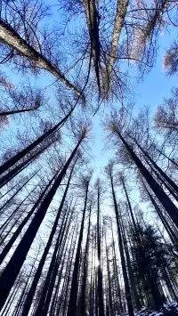 太原周邊｜把生活調成治癒模式