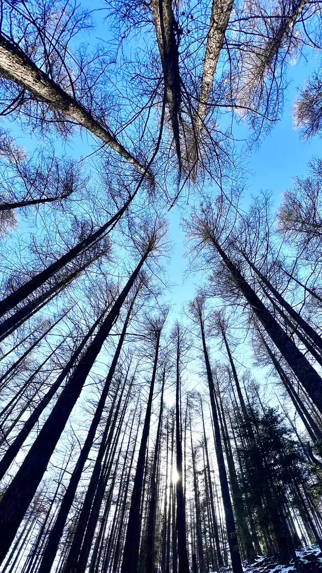 太原周邊｜把生活調成治癒模式