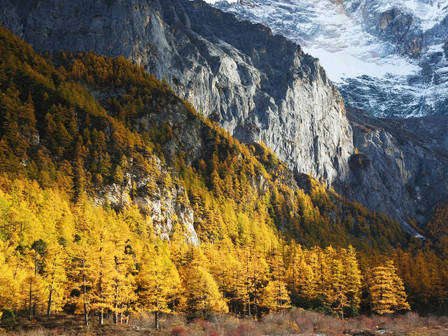 11月好去處｜秋日稻城亞丁三神山