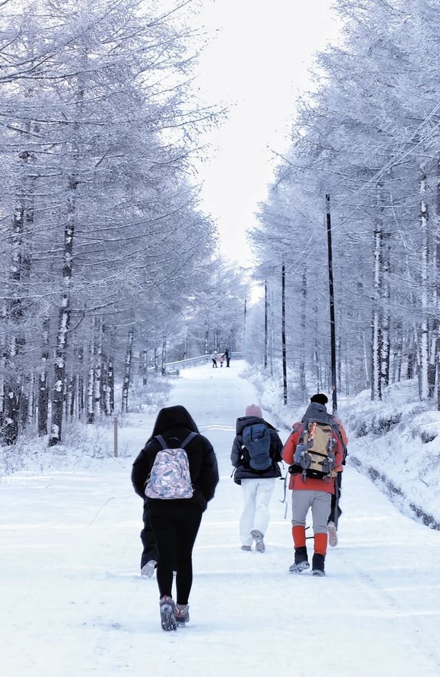 北京周邊藏了個冰雪王國?它叫樺皮嶺!! 北京周邊藏了個冰雪王國?它叫樺皮嶺!!