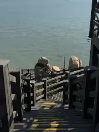 被《國家地理》安利的嵊泗,果然是海島天花板