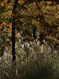 原圖直出的地方終於找到了附路線攻略