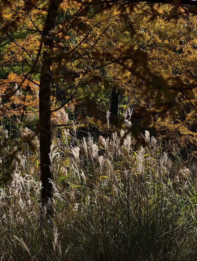 原圖直出的地方終於找到了附路線攻略