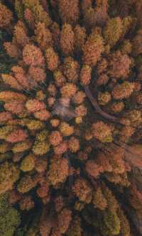 接下來的韶關,將是上帝打翻的調色盤!