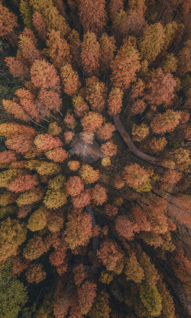 接下來的韶關,將是上帝打翻的調色盤! 接下來的韶關,將是上帝打翻的調色盤!