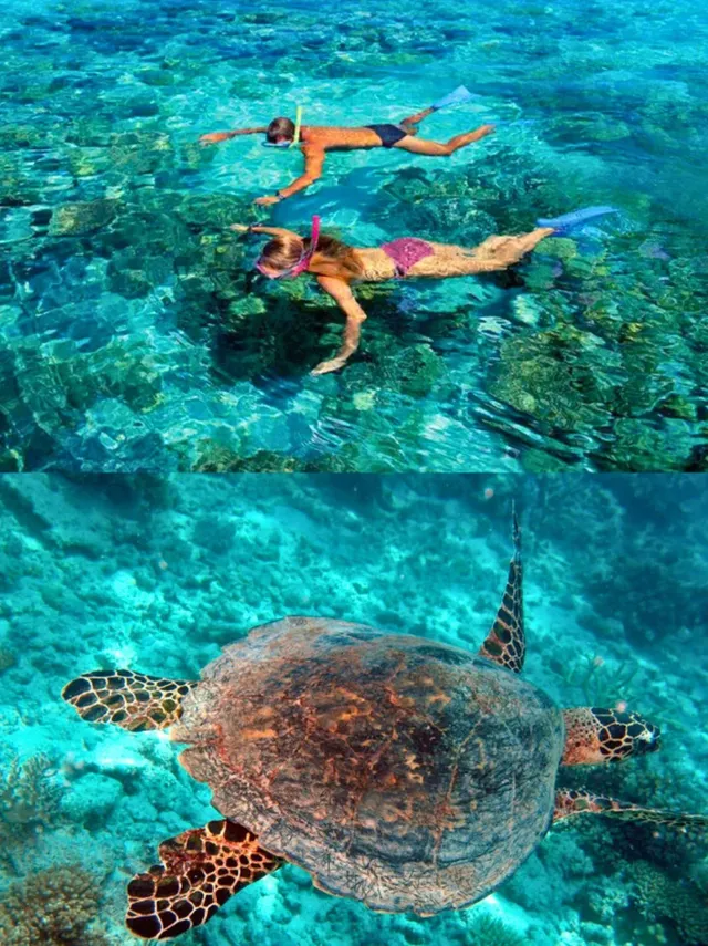 澳洲神仙路線玩轉南半球