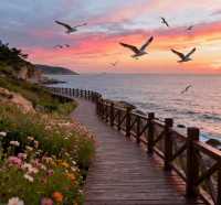 山海之間的仙境之旅