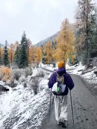 黨嶺3天2夜徒步攻略(不露營版)