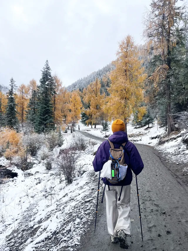 黨嶺3天2夜徒步攻略(不露營版) 黨嶺3天2夜徒步攻略(不露營版)