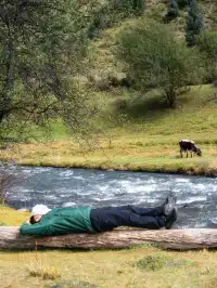 川西之西|甘孜317環線,一文講清楚!