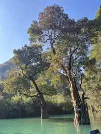 貴州小七孔-貴陽單日往返攻略必看