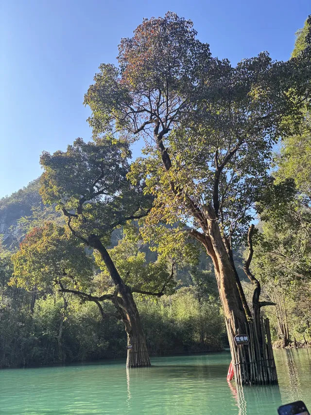 貴州小七孔-貴陽單日往返攻略必看