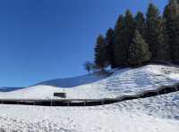 庫爾德寧自駕全攻略