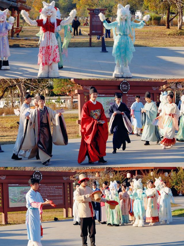 浙江人速衝安徽齊雲山免票攻略修仙賞秋兩日遊