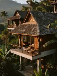 12月西雙版納|南糯山匠廬親子遊攻略