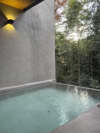 這一站躲進了青城山的森林氧吧