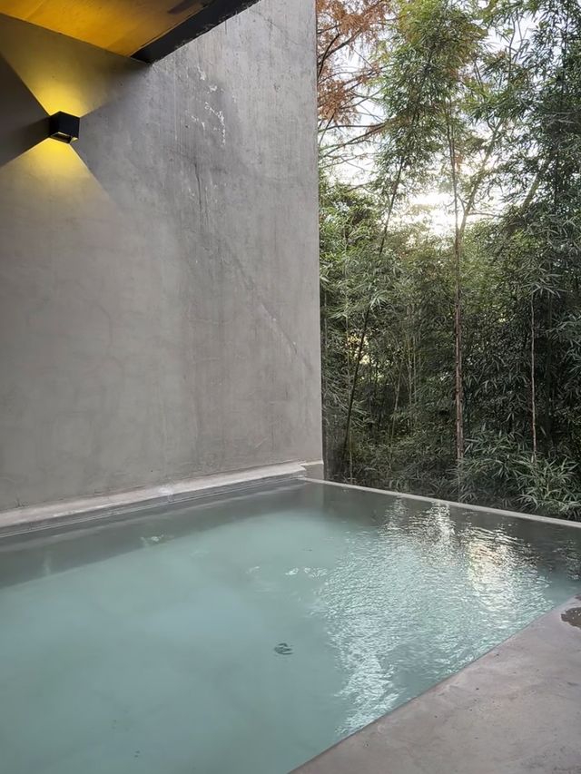 這一站躲進了青城山的森林氧吧