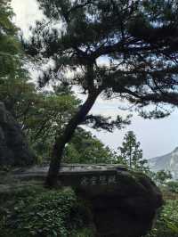 縱覽雲飛石~空中觀景台