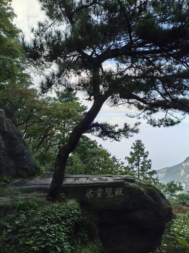 縱覽雲飛石~空中觀景台 縱覽雲飛石~空中觀景台