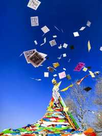 冬遊西北—青甘環線冬季六日遊察爾汗鹽湖